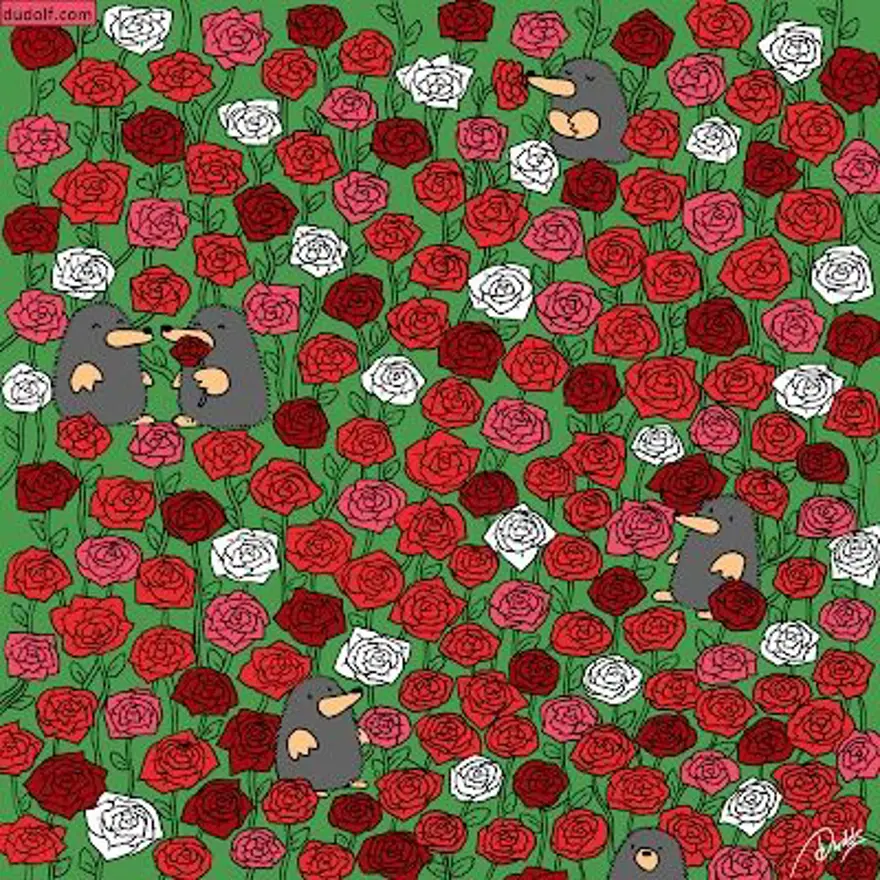 GÜLLERİN İÇİNDEN 9