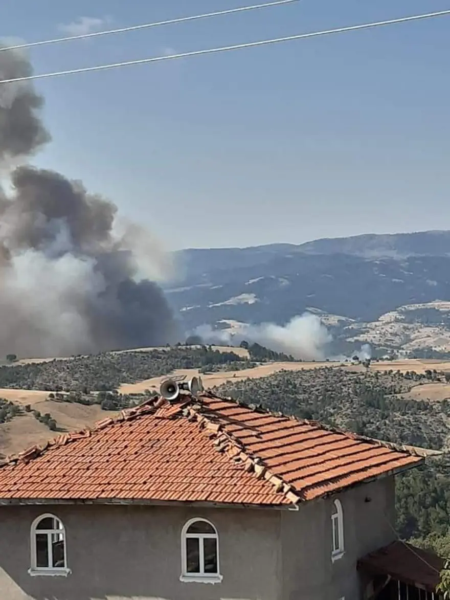 Çorum’da orman yangını 6 Çorum’da orman yangını 6