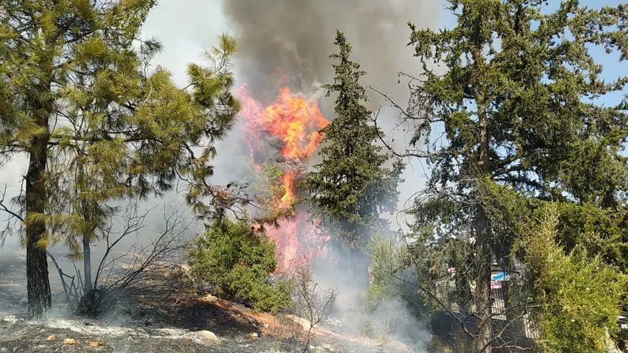 Hastane bahçesinde yangın paniği 3 Hastane bahçesinde yangın paniği 3