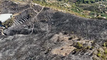 Antalya'daki orman yangının bilançosu havadan görüntülendi