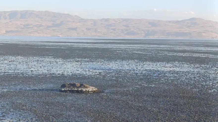 Van Gölü kıyısında oluştu: "Tek bir damla kirli su dahi çok fazla" 3 Van Gölü kıyısında oluştu: "Tek bir damla kirli su dahi çok fazla" 3