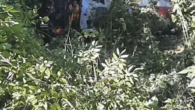 Artvin'de beton mikseri uçuruma yuvarlandı: 1 yaralı