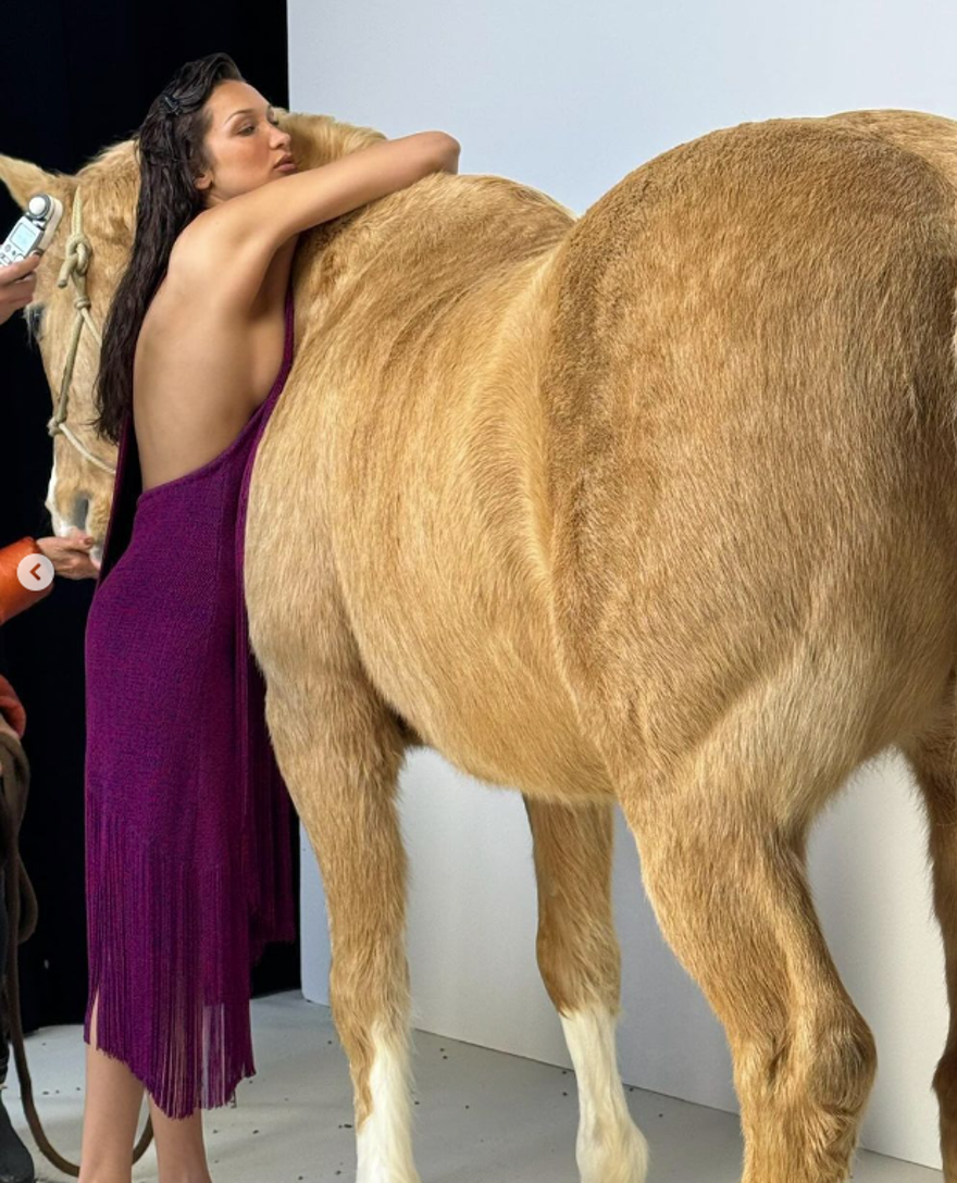 At üzerinde poz veren Bella Hadid tepki çekti 5