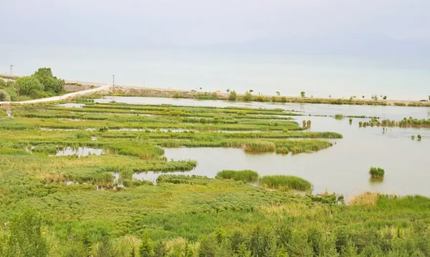 Bitlis'te Ahlat Sazlıkları ve Madavans Vadisi 'kesin korunacak hassas alan' ilan edildi 2