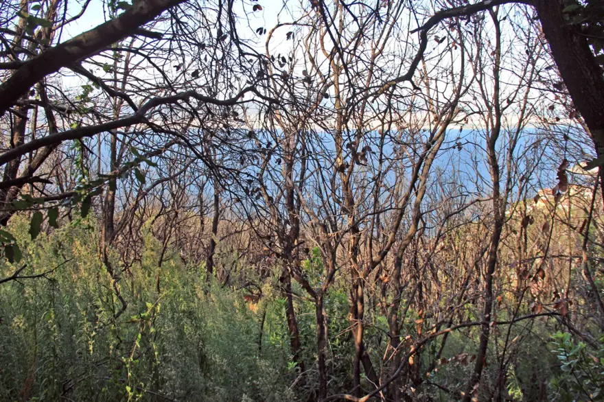 Yüzyılları deviren Doğu Roma mirası, gün yüzüne çıkarılmayı bekliyor 