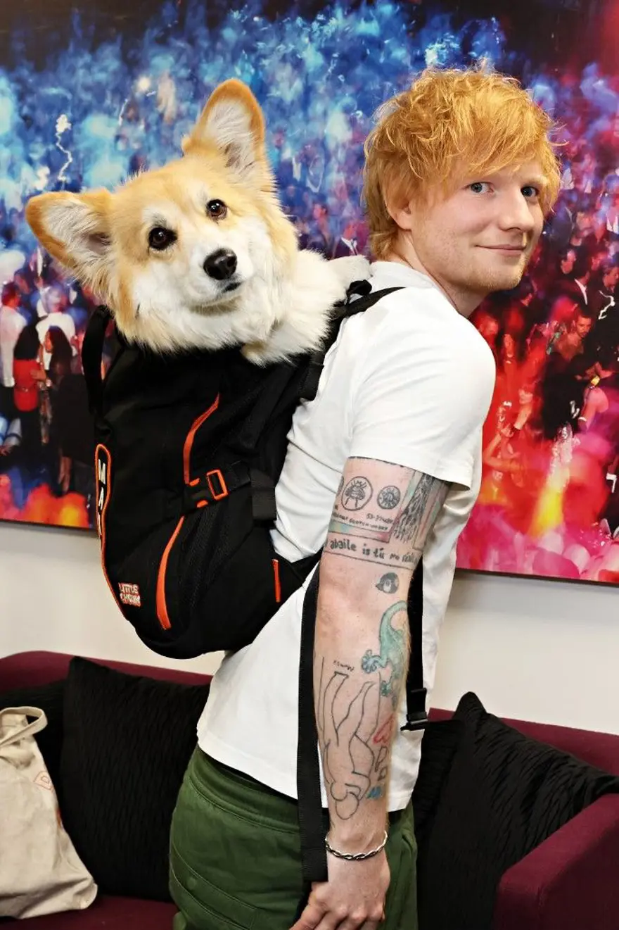 Ed Sheeran'dan yeni albüm müjdesi 2 Ed Sheeran'dan yeni albüm müjdesi 2