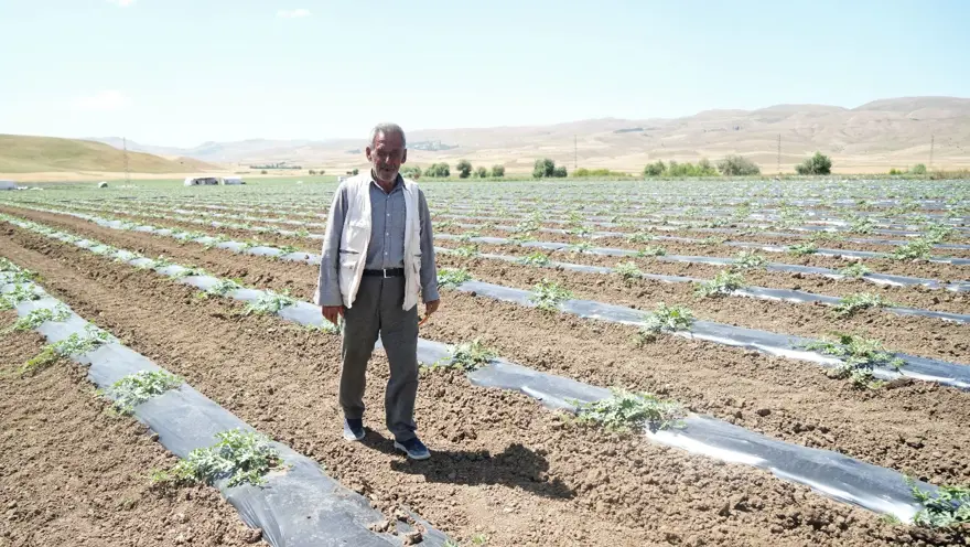30 bin dekar alana ekimi yapıldı! Bu yıl 2 milyar TL gelir bekleniyor 4