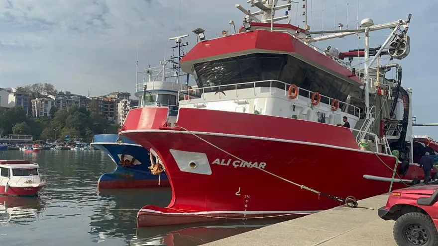 Omega-3 ve protein bombası: Bu sene kasa kasa çıkıyor, fiyatı düştü ilgi fazla 1