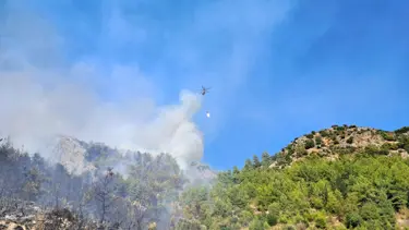 Serik'teki orman yangınına bir gözaltı