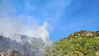 Serik'teki orman yangınına bir gözaltı