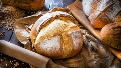 Gluten nedir, hangi besinlerde bulunur? (Gluten hangi besinlerde bulunur?)