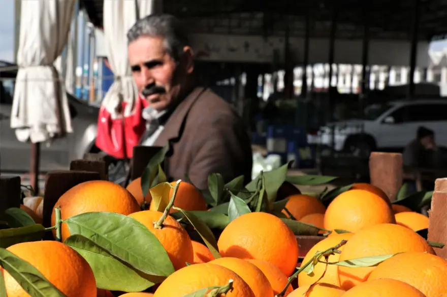 Rusya operasyonu Antalya halinde fiyatları yarıya düşürdü 9