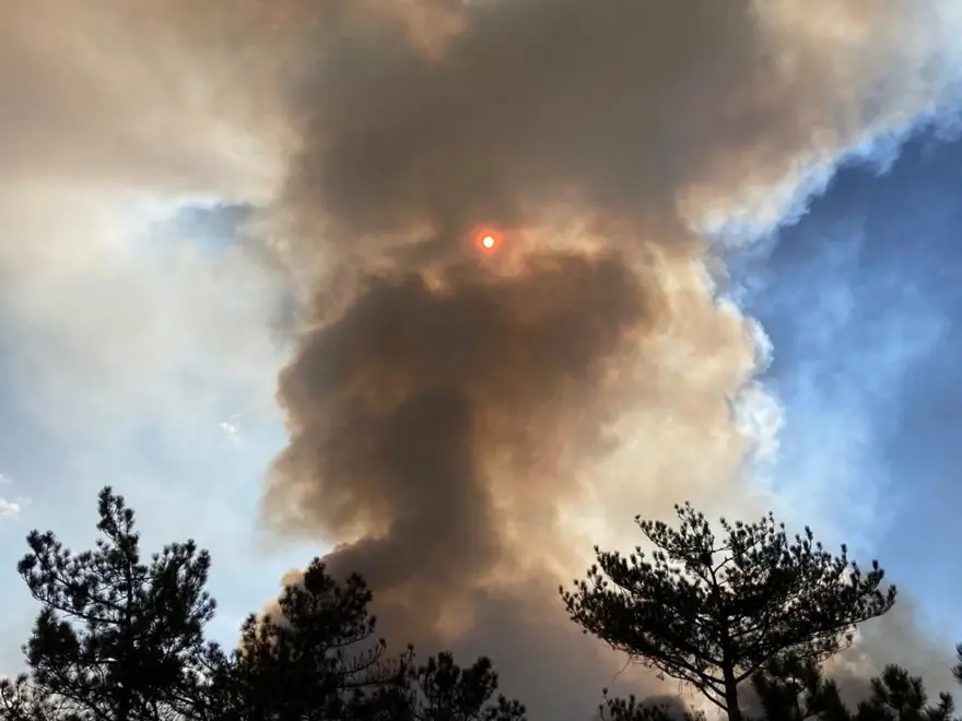 Eskişehir’de orman yangını 8