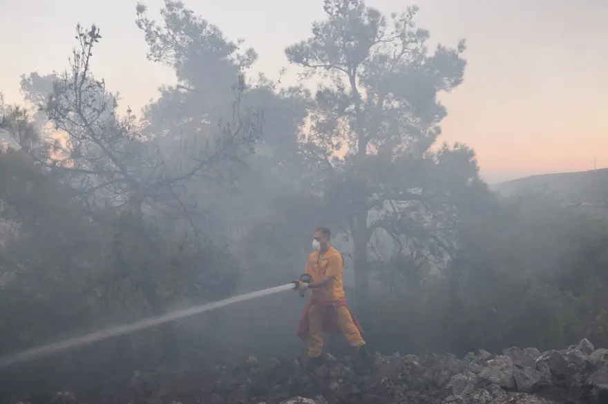 Bilecik'te iki gün önce çıkan orman yangını kontrol altında 3