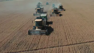 TİGEM mevsimlik işçi alımı başvuru ekranı: Tarım İşletmesi Müdürlüğü işçi alımı kadro dağılımı ve başvuru şartları