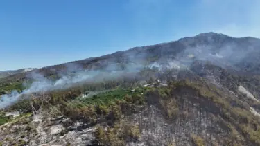 Hatay'daki orman yangınının tahribatı görüntülendi