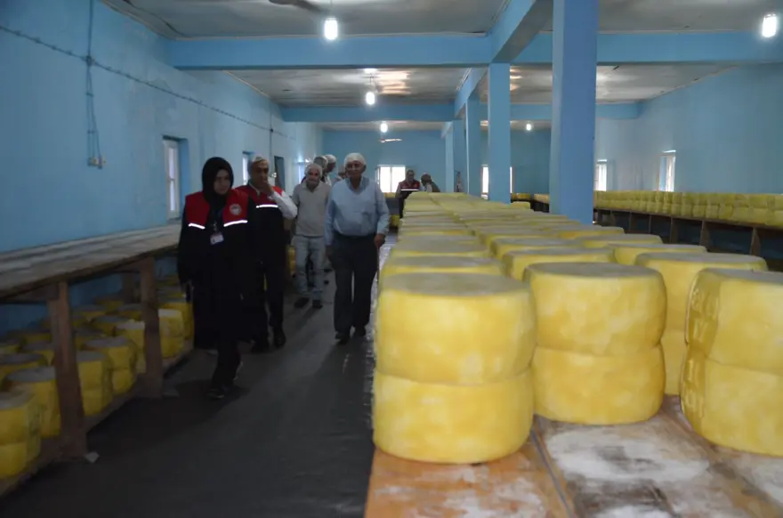 Girişimci 5 kardeş tesis kurdu şimdi ülkenin dört bir yanına pazarlanıyor 4