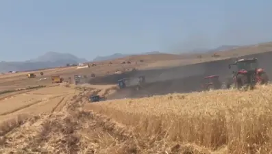 350 dönümlük buğday tarlası yandı