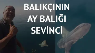 Yarım tonluk ay balığının görüntülerini sosyal medyada paylaştı