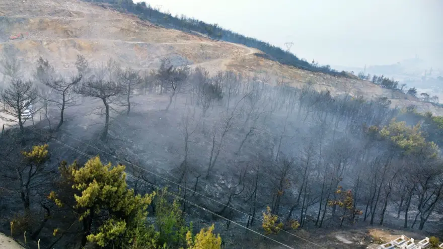 Hatay İskenderun'daki yangın 22 saat sonra kontrol altında 1