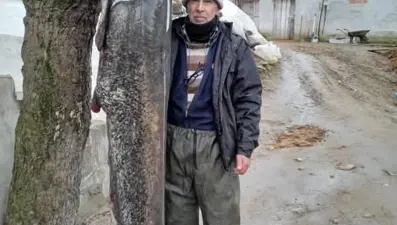 İki buçuk metre boyunda yayın balığı yakaladı