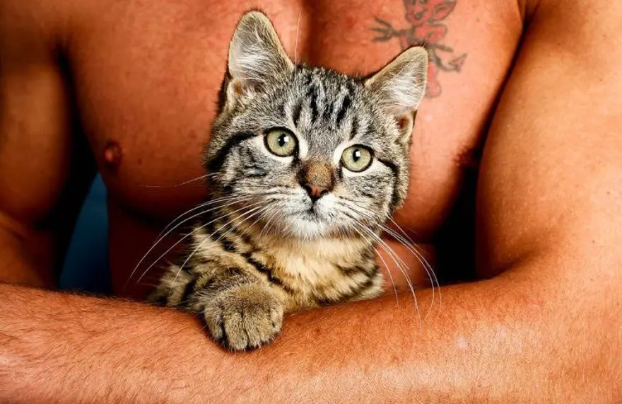 İnternetin yeni fenomenleri 81