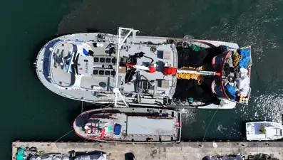 Karadenizli balıkçıların tezgahlarını süsledi: Kilosu 100 liradan başlıyor