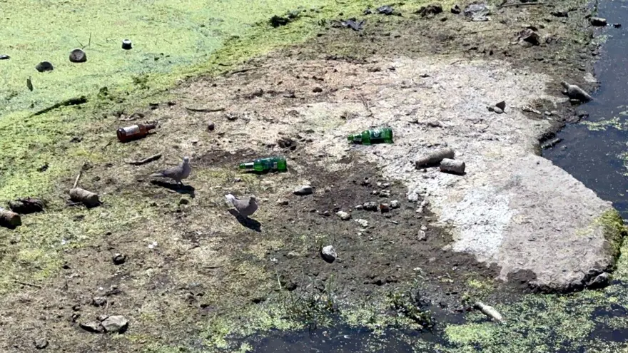 Meriç Nehri'nde kritik seviye aşıldı 