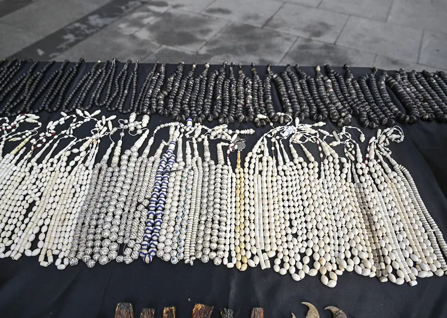 Timsah eli, ceylan postu, piton derisi ele geçirildi 