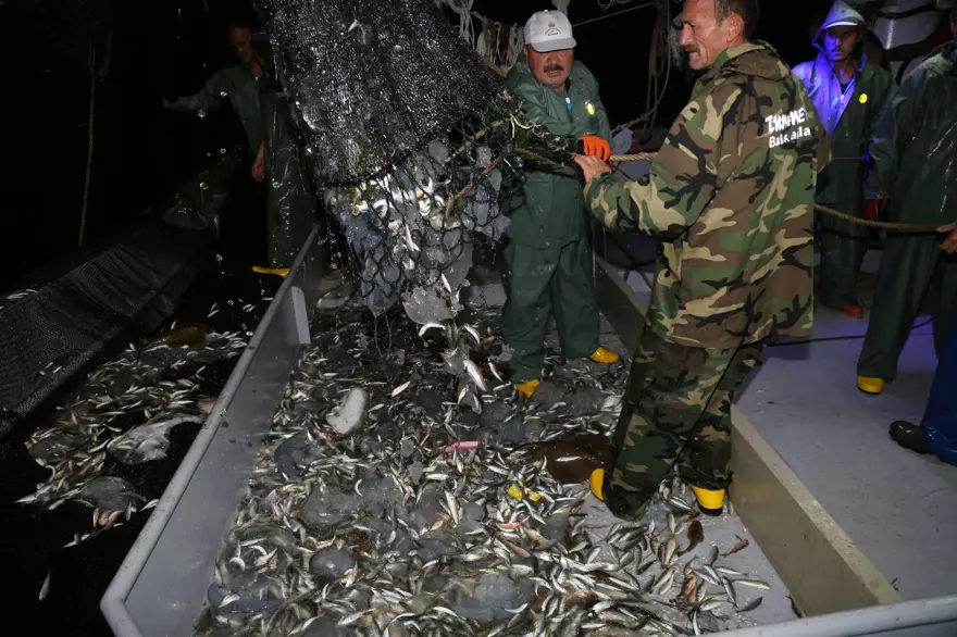 İLK AĞLARDA İSTAVRİT AVLANDI 8