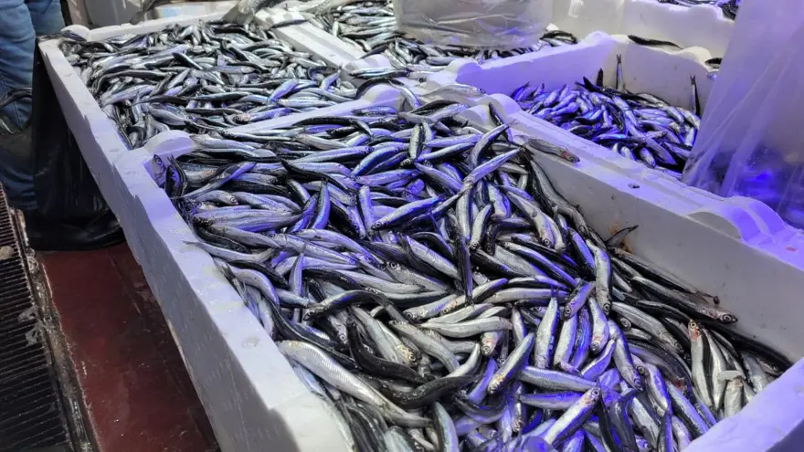 Tezgaha akın ettiler, yoğun talep var: Fiyatları düştü 1