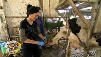 Zor İşler 9. Bölüm