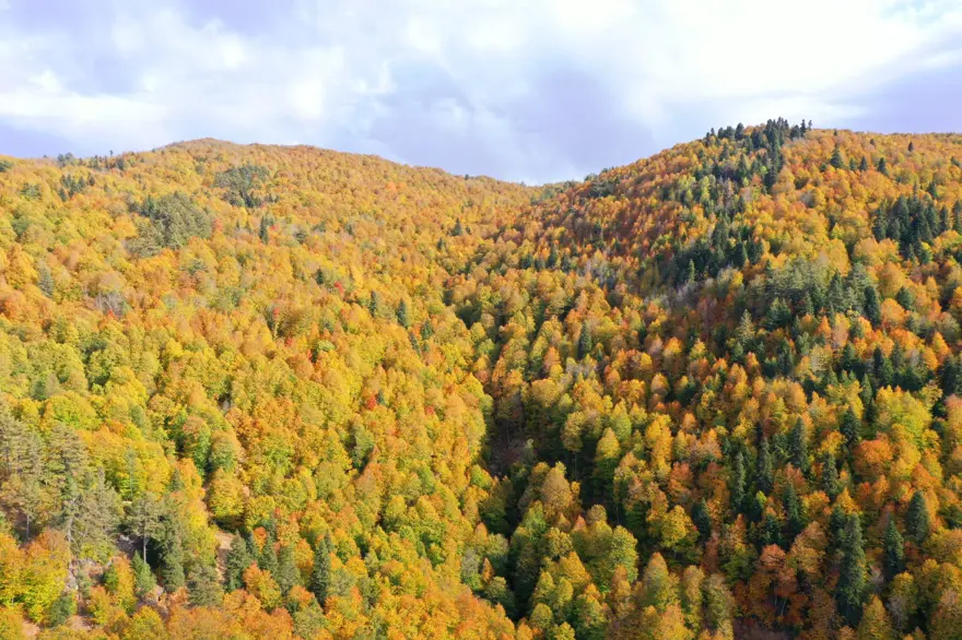 Kahramanmaraş'taki Akifiye Yaylası'na sonbaharın renkleri hakim oldu 5
