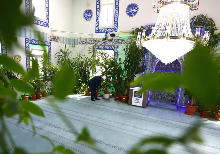 Botanik bahçesi değil cami 4