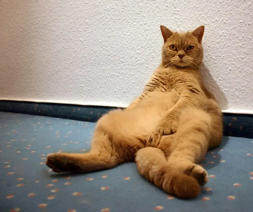 Bugün onların günü! 10