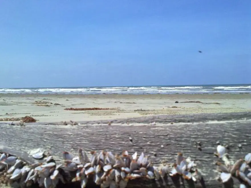 Brunei, Kuala Belait Plajı 9