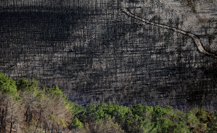 İspanya'daki orman yangınları üç haftadır devam ediyor: 20 bin hektar kül oldu 6