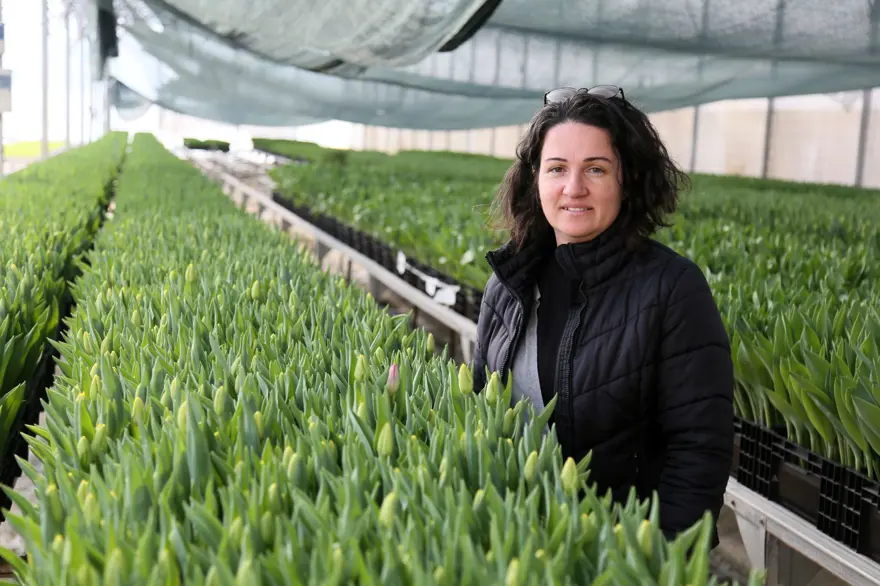 Toprak yerine suda yetişiyor, marketlerde tanesi 100 TL: En çok sarı ve beyaz tercih ediliyor 3 Toprak yerine suda yetişiyor, marketlerde tanesi 100 TL: En çok sarı ve beyaz tercih ediliyor 3