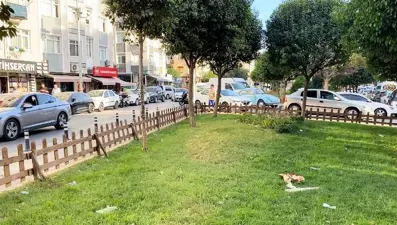 Bahçelievler'de dehşet anları: Anne ve kız çocuğu tartıştıkları adamı öldürdü