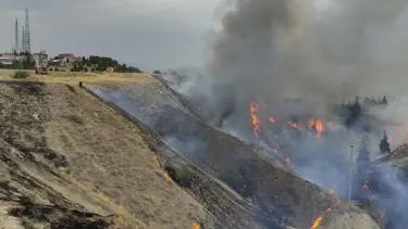 Denizli'de çıkan orman yangını kontrol altında: 30 hektarlık alan zarar gördü