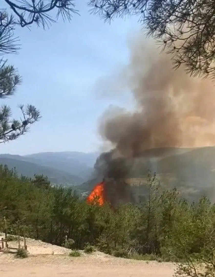 SİNOP'TAKİ ORMAN YANGINI KONTROL ALTINDA 7