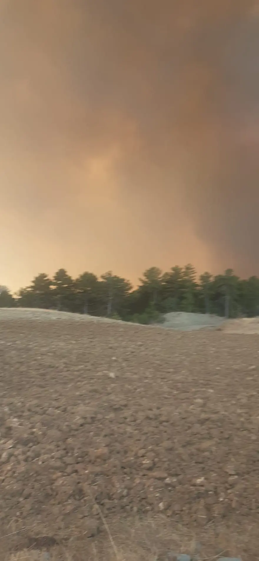 Çorum’da orman yangını 5 Çorum’da orman yangını 5