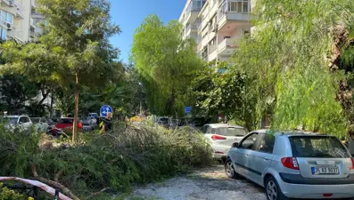 İzmir'de park halindeki otomobilin üzerine ağaç devrildi