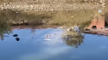 Kocabaş Çayı'ndaki balık ölümlerine inceleme