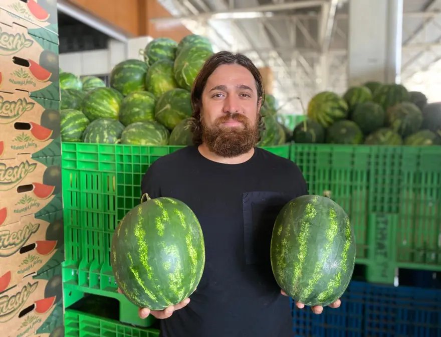 Mersin'de karpuz hasadı başladı: Tarlada kilosu 20 TL'den başlıyor 1