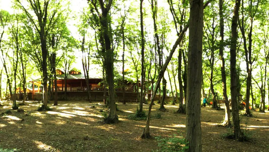 istanbul'un tabiat parkları, istanbul'daki tabiat parkları, istanbul mesire alanları, istanbul'de ailece nereye gidilir, istanbul ormanları 11