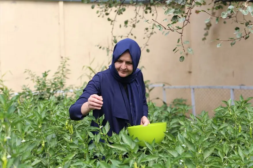 Kabil'de yaşayan Türk kadın girişimci:  Afganistan'dan umutluyum, geri dönmeyi düşünmüyorum 1