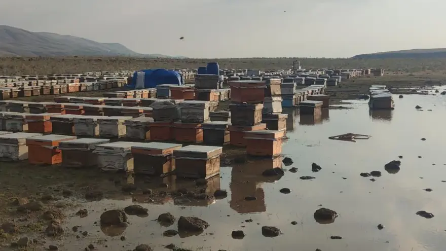 Van’da sağanak arı kovanlarını vurdu 2