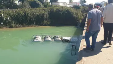 Adana'da sulama kanalına devrilen kamyonun sürücüsü yaralandı