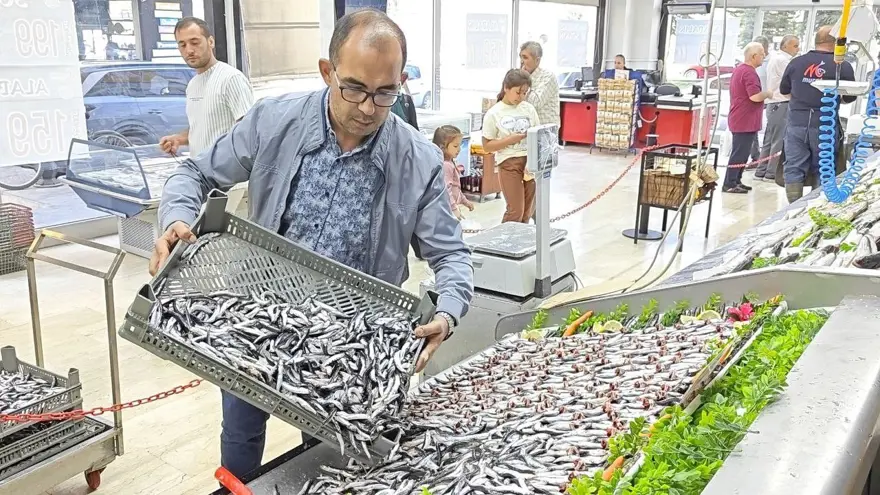 Tezgahlar şenlendi: 30'dan fazla çeşit balık var Tezgahlar şenlendi: 30'dan fazla çeşit balık var